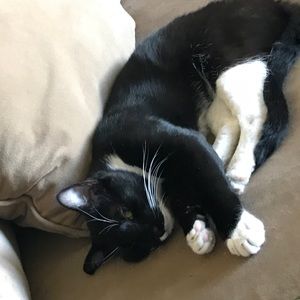 Meet your Posher, Jacob